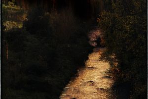 Bill Henson