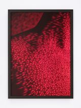 Untitled by Malte Sanger contemporary artwork photography