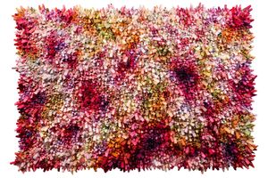 Chun Kwang Young