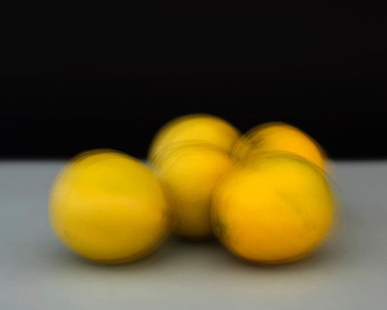 Five Lemons by Gavin Hipkins contemporary artwork Photography