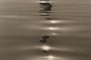 Fan Ho
