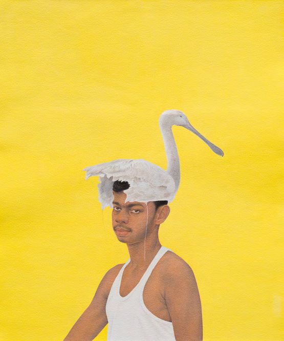 Untitled The Bird Hunter Series XI by Ali Kazim contemporary artwork Works on Paper