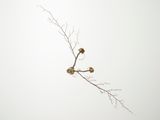 License 6 by Emeric Chantier contemporary artwork sculpture