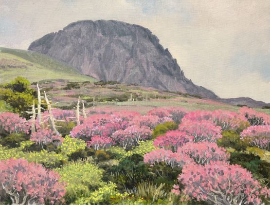 Untitled Azaleas at Witse Oreum by Park Kwang-jin contemporary artwork Painting
