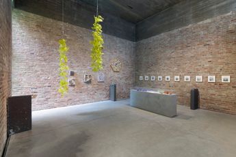 Contemporary art exhibition Tue Greenfort Wunderkammer at Konig Galerie Germany