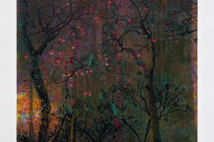Elizabeth Magill