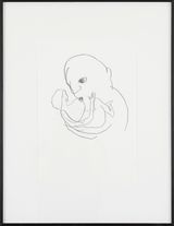 Untitled by Shanee Roe contemporary artwork drawing works on paper