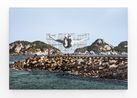 GIANTS Cleuson LIMA DO ROSARIO from Brazil Barra da Tijuca from the beach Comite international Olympique Rio de Janeiro Brazil by JR contemporary artwork Photography