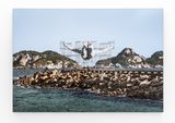 GIANTS Cleuson LIMA DO ROSARIO from Brazil Barra da Tijuca from the beach  Comite international Olympique Rio de Janeiro Brazil by JR contemporary artwork photography