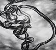 loop by Julia Steiner contemporary artwork Works on Paper