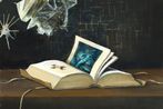 Ged Quinn contemporary artist