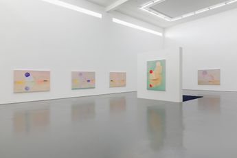 Contemporary art exhibition Shi Zhiying Solo Exhibition at White Space Caochangdi China