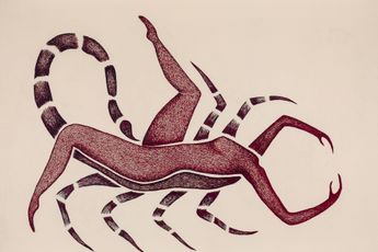 Selva De Carvalho contemporary artist