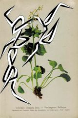 FFIGURATI 568 by Enrico Isamu Oyama contemporary artwork mixed media