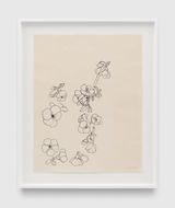 Untitled PF.575 Apple Blossoms on Branch by Ruth Asawa contemporary artwork drawing works on paper