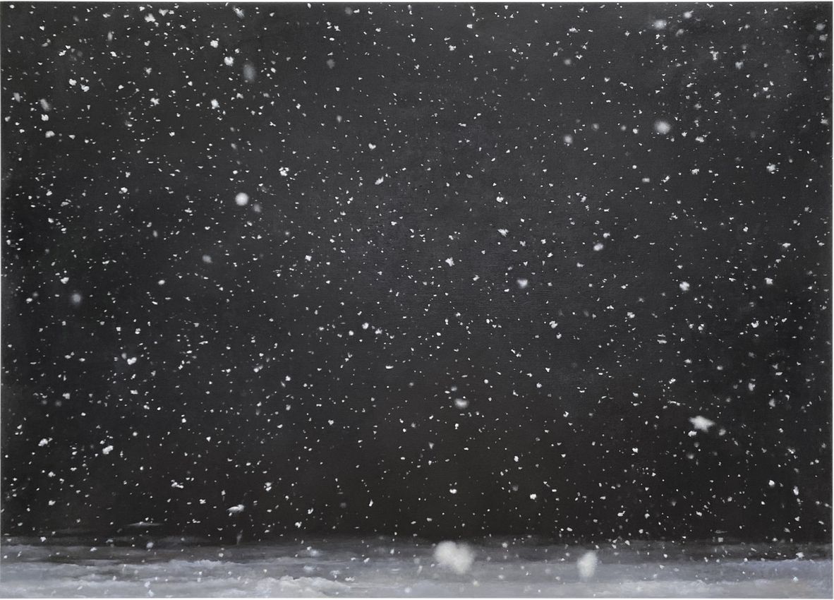 VIJA CELMINS
