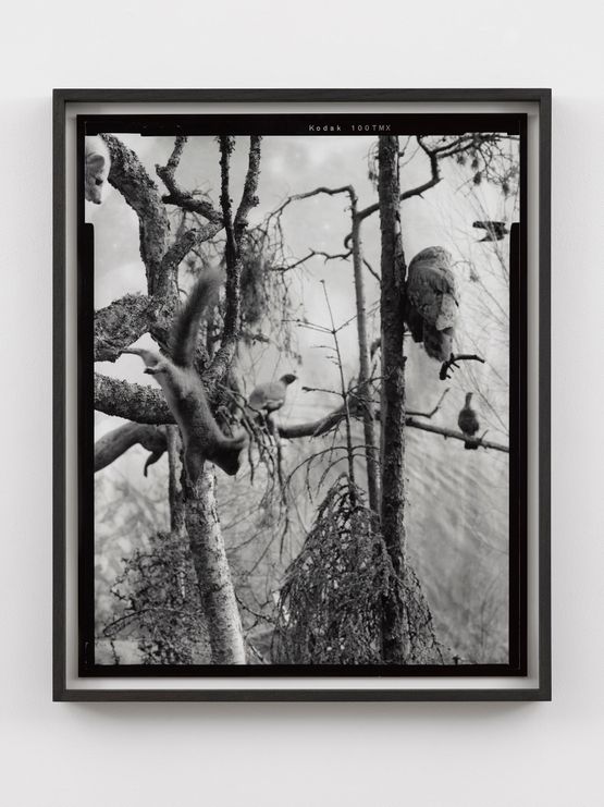 Seventh Beast by Gerard Byrne contemporary artwork Photography