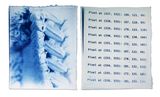 N0A9524 by Siwoo Lee contemporary artwork print