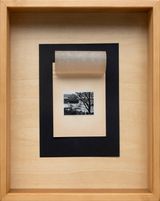 From the series Old news Rhino by Larry Munoz contemporary artwork photography sculpture works on paper