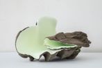 Undifferentiated Sexual State by Teresa Solar Abboud contemporary artwork Sculpture
