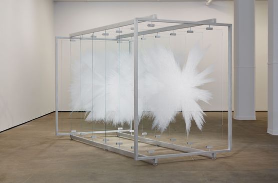 Overture by Idris Khan contemporary artwork Installation