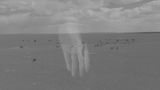 Numbers by Charwei Tsai contemporary artwork moving image