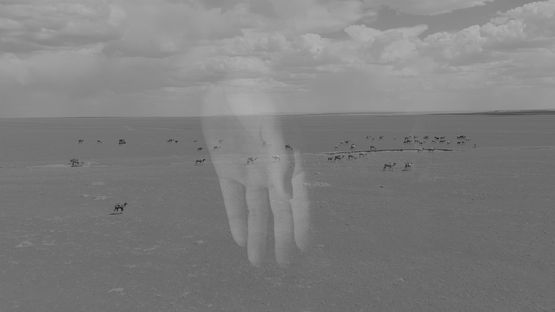 Numbers by Charwei Tsai contemporary artwork Moving Image