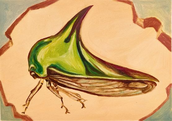 Museum Menageries 41 Bug by Prabhakar Pachpute contemporary artwork Works on Paper