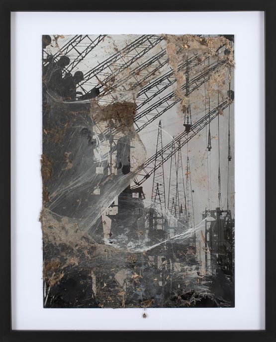 Untitled Spinnenbild by Christian Eisenberger contemporary artwork Painting