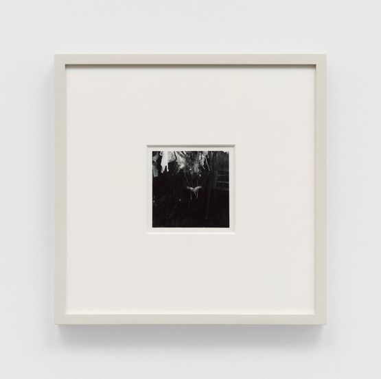 Untitled, 1978 by Francesca Woodman, Lifetime gelatin silver print