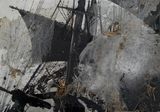 Untitled Spinnenbild by Christian Eisenberger contemporary artwork mixed media photography