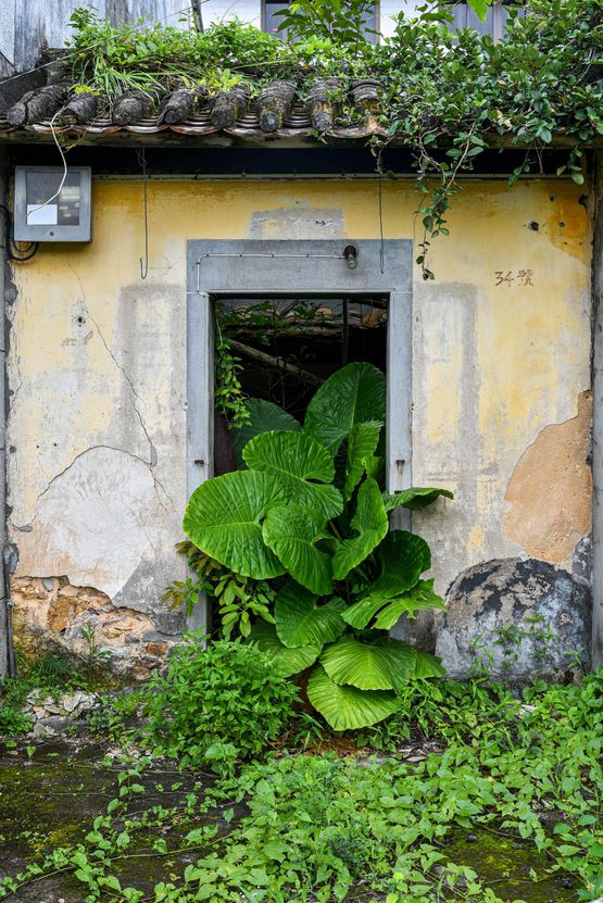Luk Keng 1 Hong Kong by Stefan Irvine contemporary artwork Photography