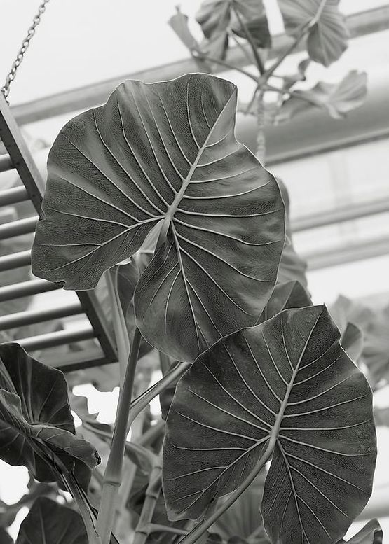 Untitled by Heeseung Chung contemporary artwork Photography