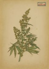 Mu YishaoBayanzhalaga  by Liu Chuanhong contemporary artwork painting