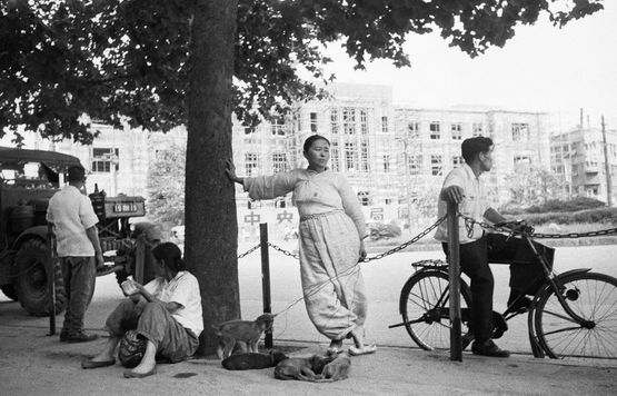 Sogong-dong Seoul Korea 1956-1957 by Han Youngsoo contemporary artwork Photography