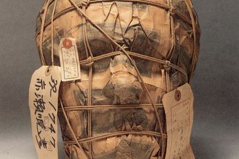 Genpei Akasegawa contemporary artist