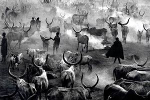 Sebastiao Salgado