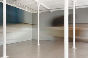 Louise Lawler
