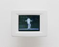 Live Evil Amsterdam by Paul Pfeiffer contemporary artwork Moving Image