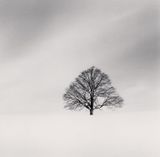 Cikisani Kamuy Study 2 Sorachi Hokkaido Japan by Michael Kenna contemporary artwork photography