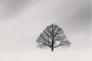 Michael Kenna