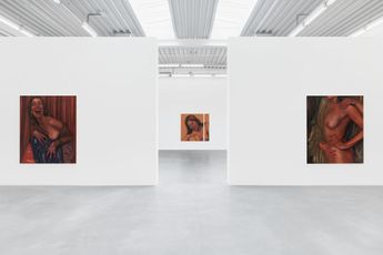Contemporary art exhibition Chloe Wise Torn Clean at Almine Rech Brussels Belgium
