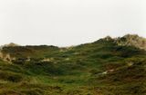 Heide by Grit Schwerdtfeger contemporary artwork photography print