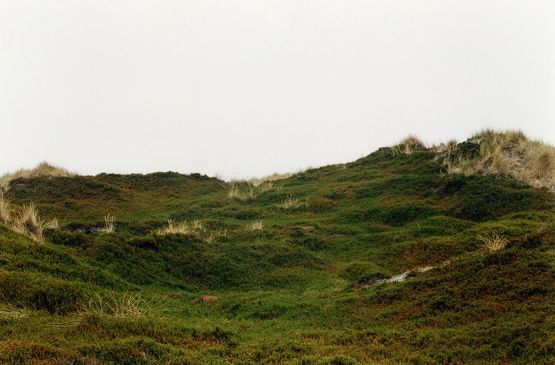 Heide by Grit Schwerdtfeger contemporary artwork Photography