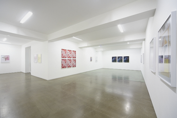 Contemporary art exhibition Annette Kelm Solo Exhibition at Taka Ishii Gallery Complex665 Tokyo Japan