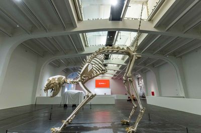 Maurizio Cattelan The Last Judgment at UCCA