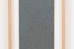 Veronica Herber