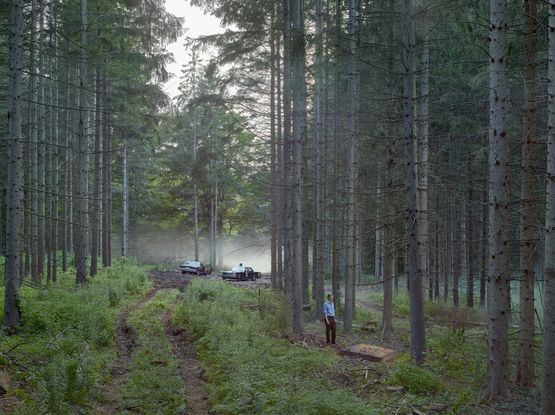 The Mattress by Gregory Crewdson contemporary artwork Photography