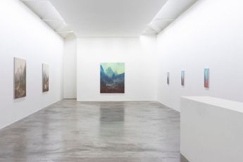 Contemporary art exhibition Paul Winstanley Arcadia at Kerlin Gallery Dublin Ireland