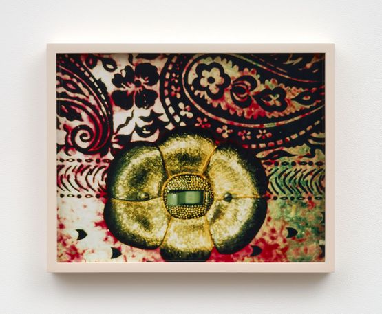 Light Switch by Brenna Youngblood contemporary artwork Photography